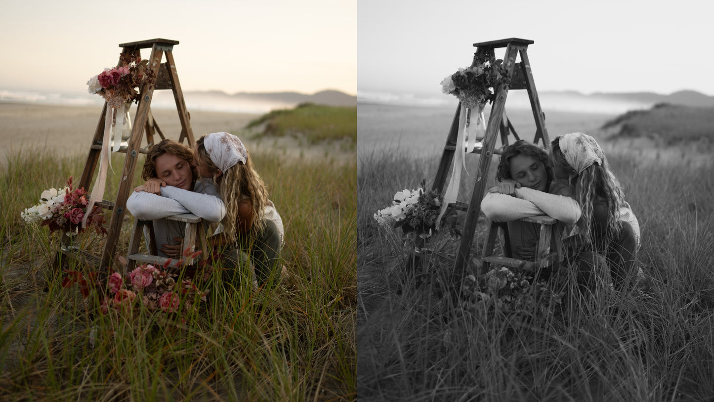 Shanessa Marie Presets BUNDLE