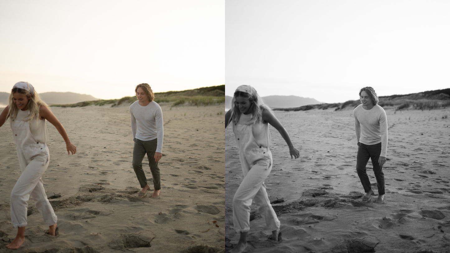 Shanessa Marie Presets BUNDLE